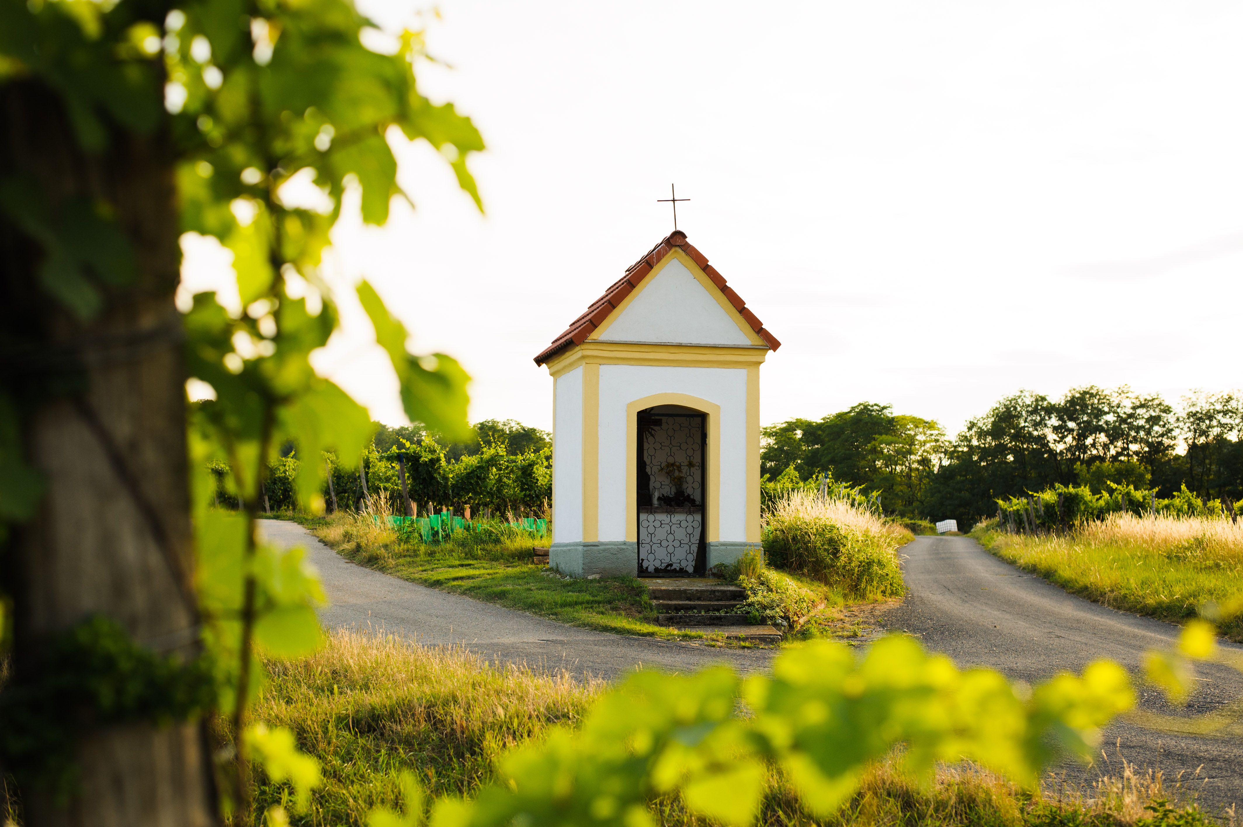 Small chapel on a path in a rural landscape, surrounded by green trees and plants.