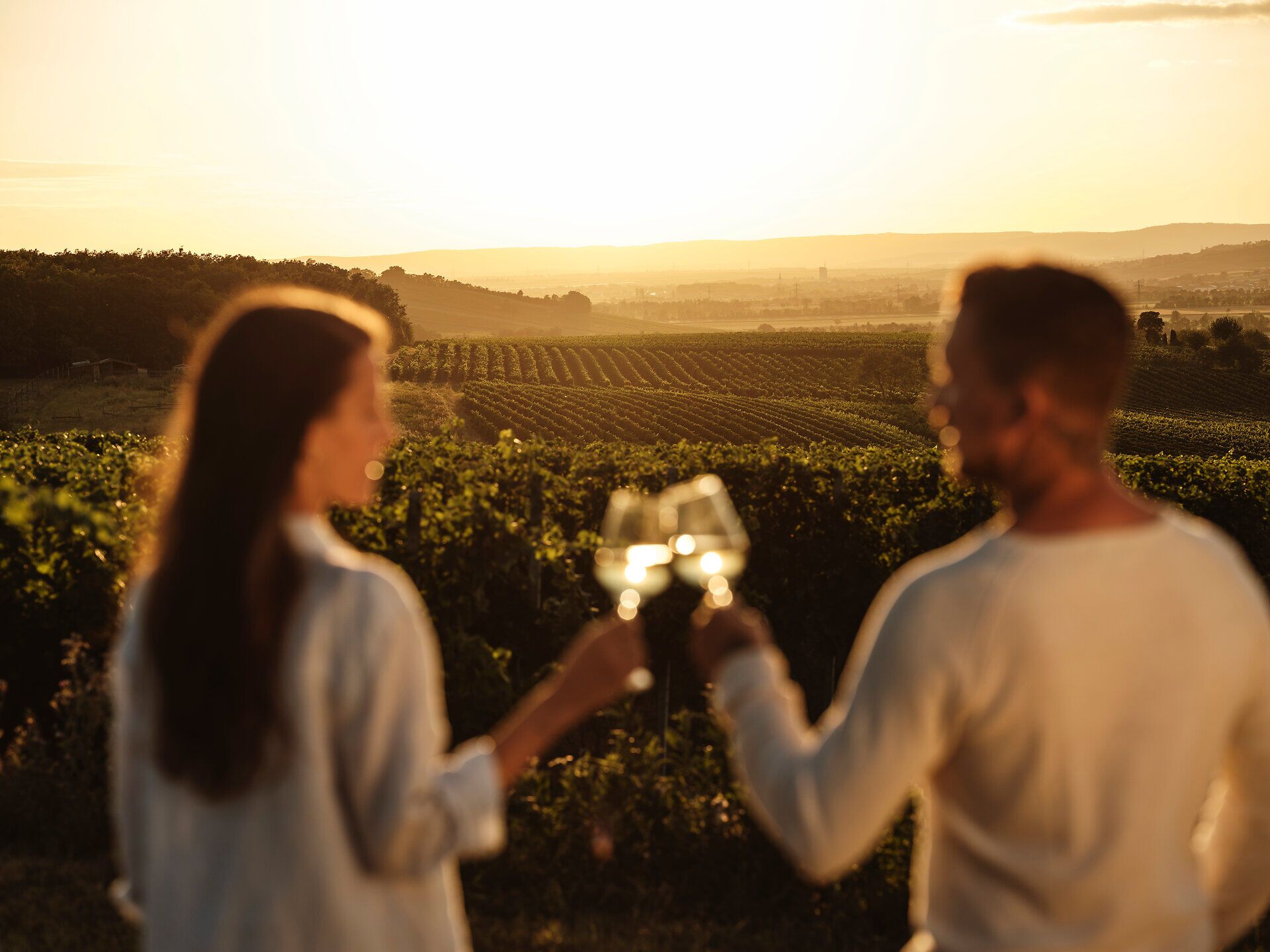 Ein romantisches Picknick im Weinviertel lädt dazu ein, den Sonnenuntergang über den sanften Weinbergen zu genießen. Der Picknickkorb vom Schlosshotel Mailberg ist gefüllt mit köstlichen Leckereien und einem feinen Wein, während die sanfte Brise die Atmosphäre verzaubert.