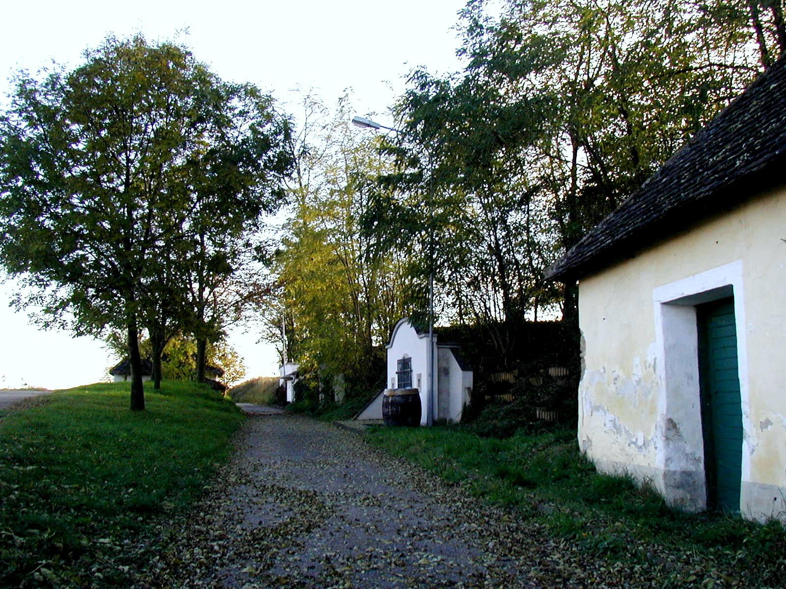 Ein ländlicher Weg mit Bäumen und einem alten Gebäude mit grünem Tor.