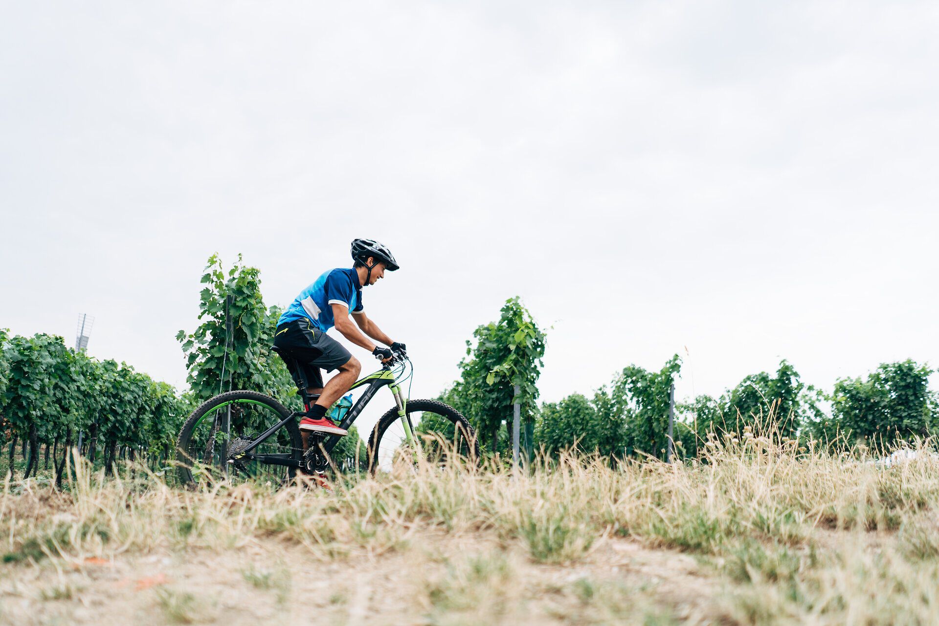 Ein Radfahrer genießt die frische Luft und die malerische Landschaft, während er durch die sanften Hügel und Weinreben radelt. Die ruhige Atmosphäre und die grünen Weinberge laden dazu ein, die Schönheit der Natur zu erleben und die Seele baumeln zu lassen.