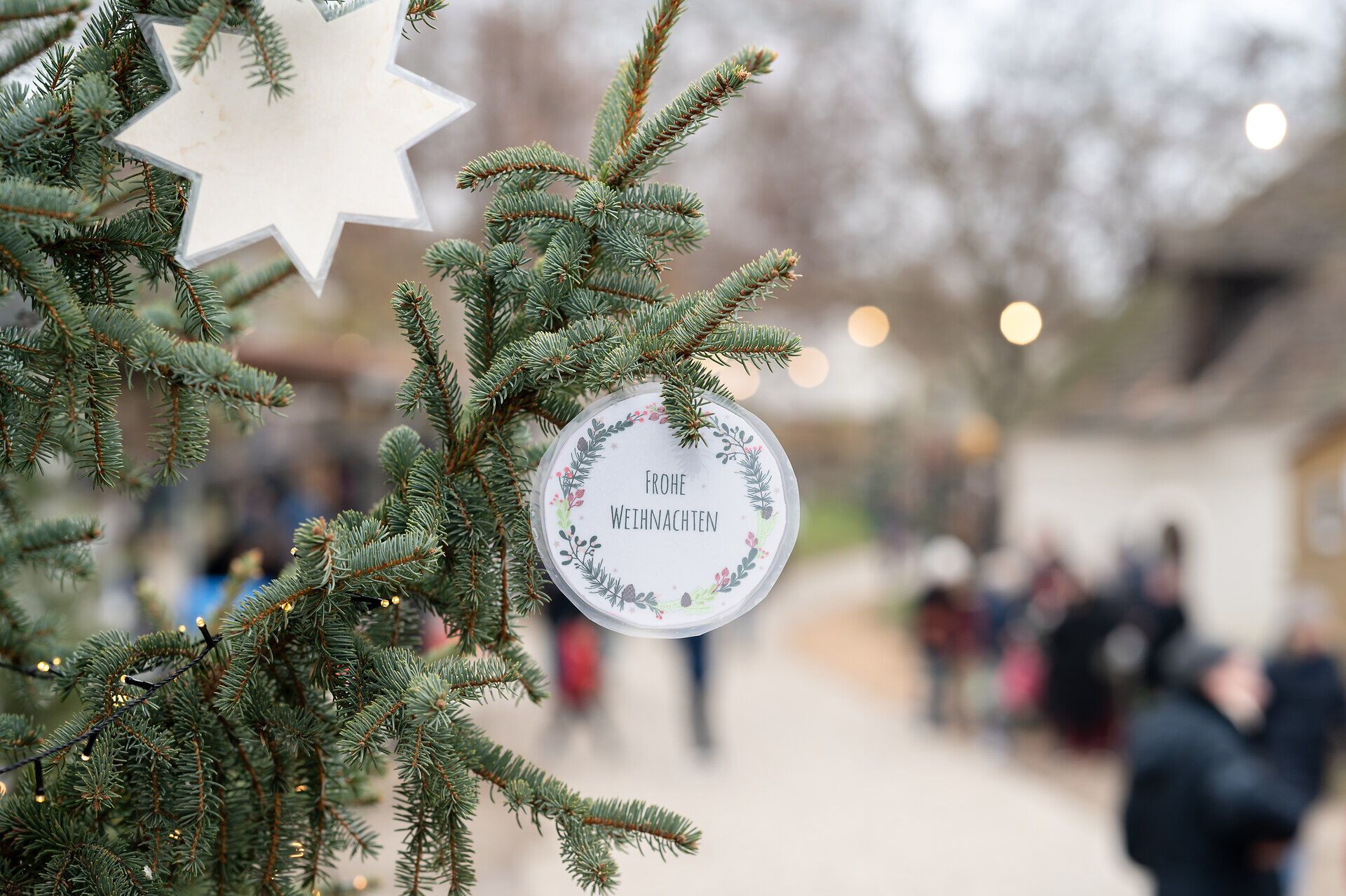 In der festlich geschmückten Kellergasse erstrahlen die Lichter und verbreiten eine warme, einladende Atmosphäre. Der Duft von Glühwein und frisch gebackenem Gebäck zieht durch die Luft und lädt zum Verweilen ein. Ein Ort, an dem die Vorfreude auf Weihnachten spürbar wird.