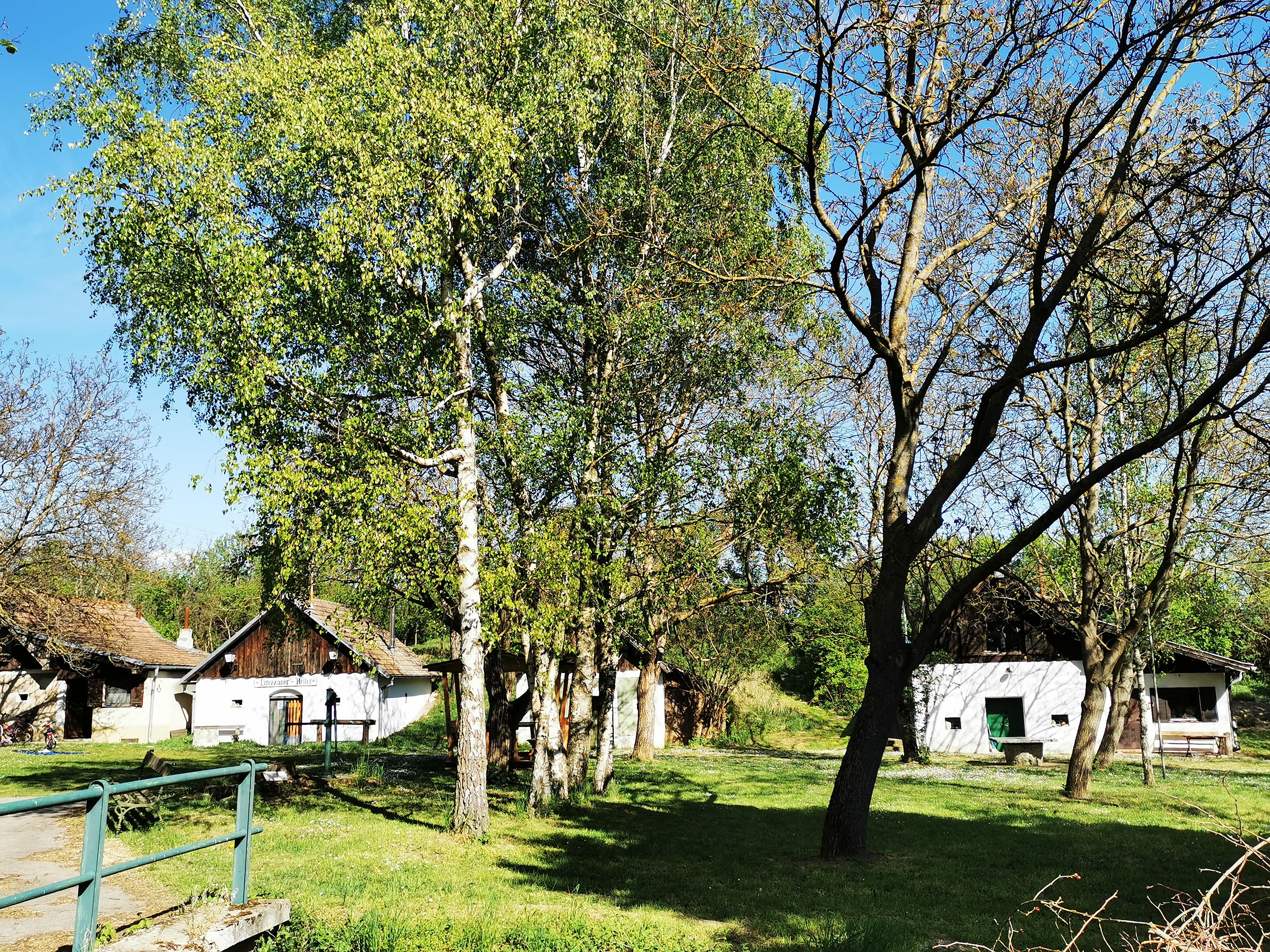 Kellergasse in Schalladorf mit Bäumen und kleinen Gebäuden.