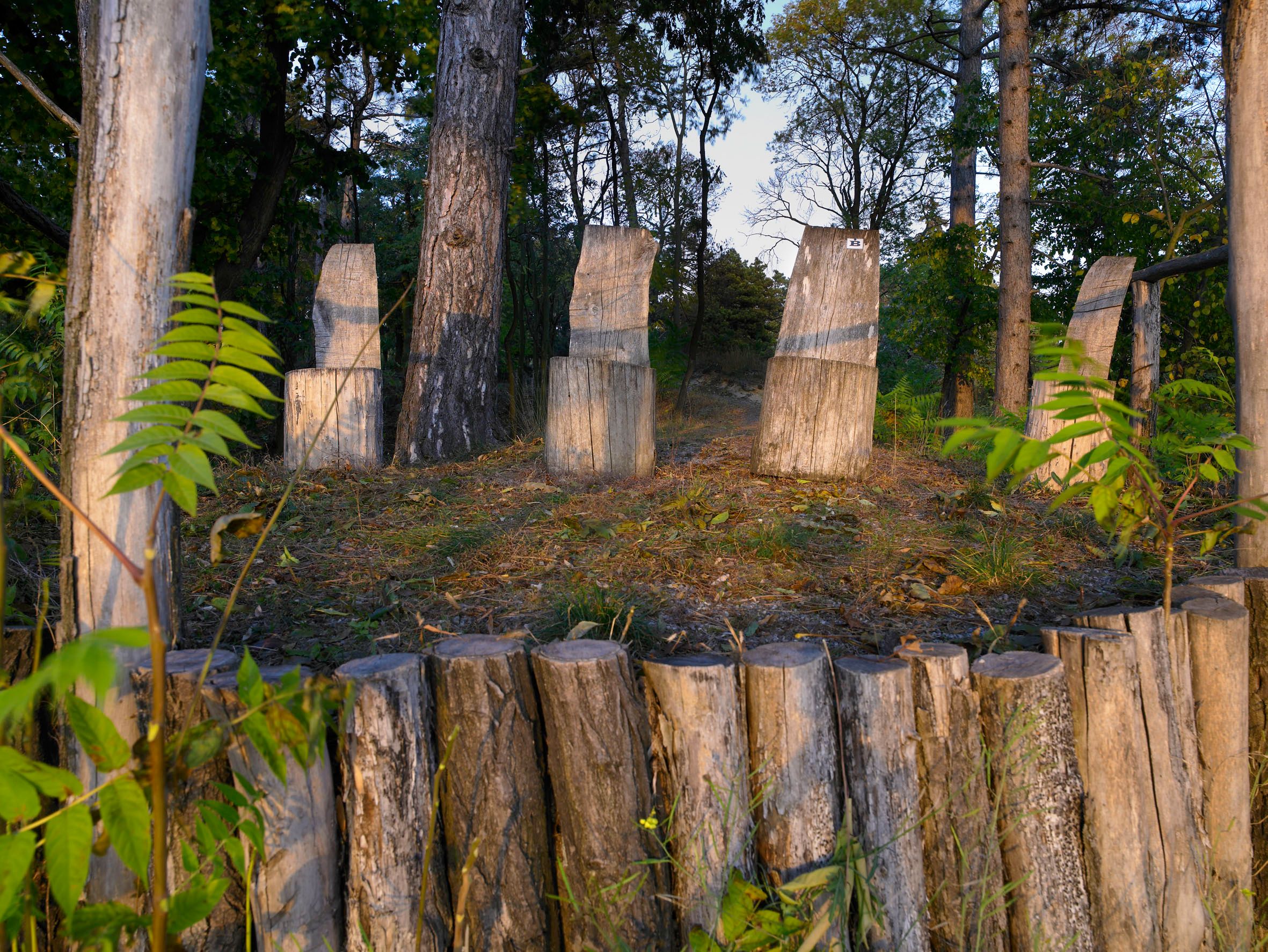 Holzskulpturen im Schlosspark Nexing umgeben von Bäumen.