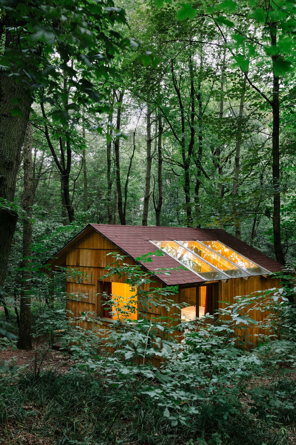 Eine kleine Holzhütte mit Glasdach steht in einem dichten Wald. Die Hütte ist von grünen Bäumen umgeben und von innen beleuchtet.