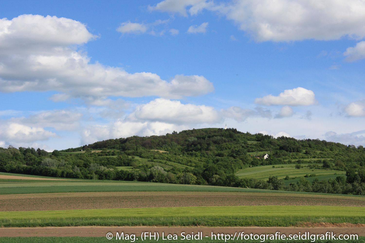 Landschaft mit Hügeln und Feldern unter blauem Himmel mit Wolken.