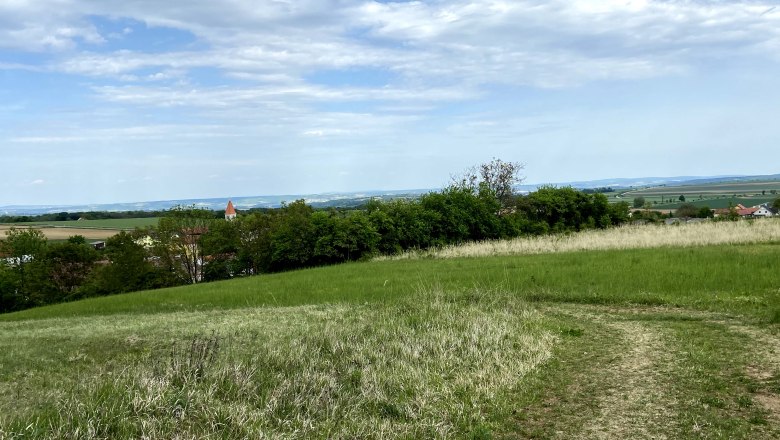 Landschaft mit gr&uuml;ner Wiese, B&auml;umen und einem Kirchturm im Hintergrund unter blauem Himmel.