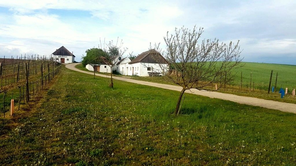 Idyllische Kellergasse Hundsberg