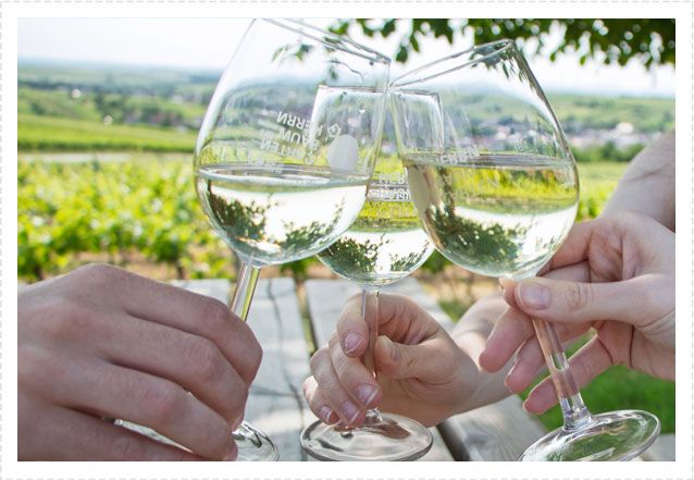 Drei Personen stoßen mit Weingläsern an, im Hintergrund ein Weinberg.