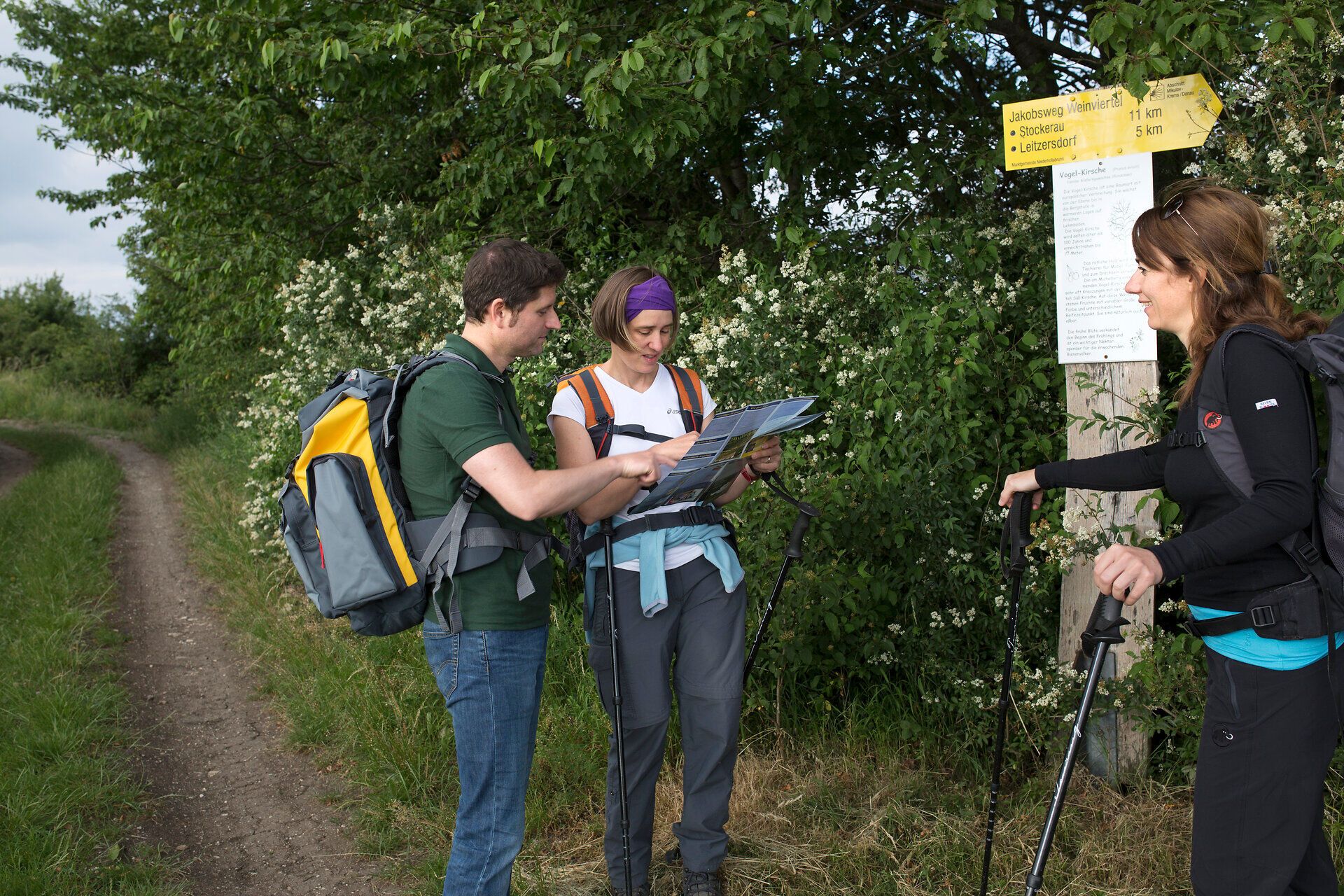 Eine Gruppe von Wanderern steht an einem Wegweiser, umgeben von üppigem Grün und blühenden Sträuchern. Die frische Luft und die sanften Geräusche der Natur laden dazu ein, die Umgebung zu erkunden und die Schönheit der Landschaft zu genießen.