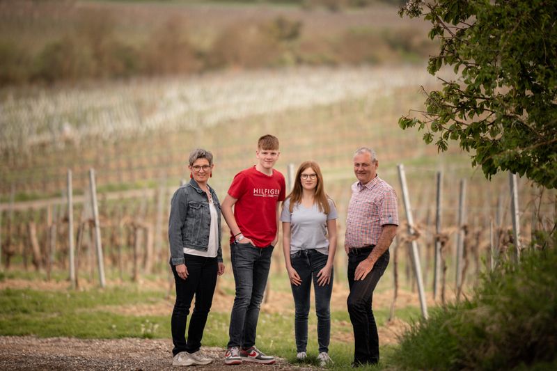 Four people are standing in a vineyard.