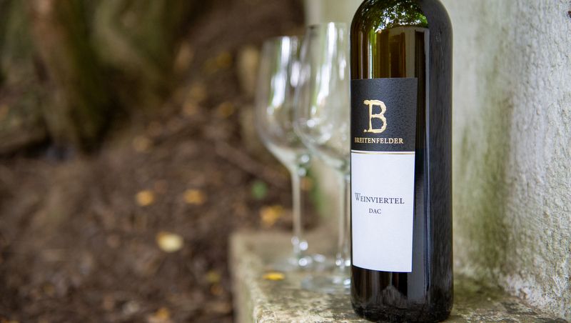 Wine bottle with two empty glasses outside.