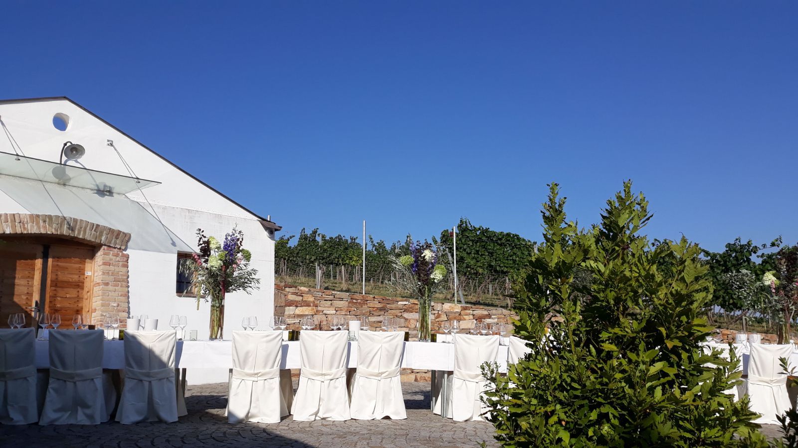 Gedeckter Tisch im Freien vor einem Gebäude mit Weinreben im Hintergrund.