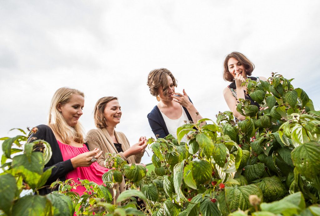 Taste the Weinviertel in Loosdorf