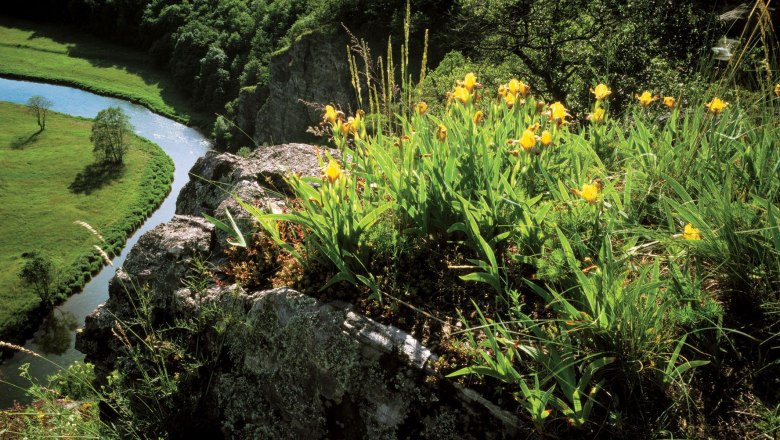 Blick vom Rabenfelsen, &copy; Nationalpark Thayatal