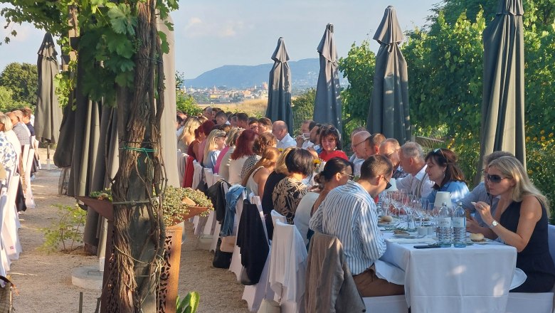 Menschen sitzen an einem langen Tisch im Freien unter Sonnenschirmen und Weinreben.