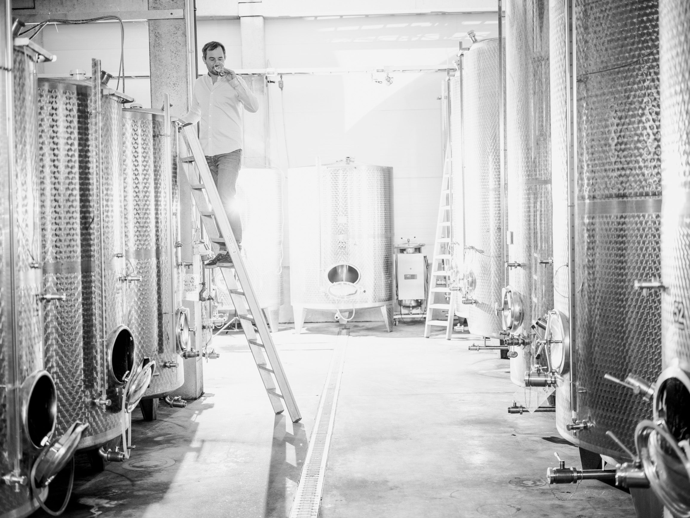 Man on ladder in wine cellar with stainless steel tanks.