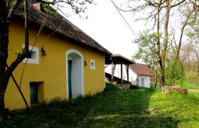 Gelbes Geb&auml;ude mit Holzt&uuml;r und kleinem Fenster, umgeben von B&auml;umen und Gras.