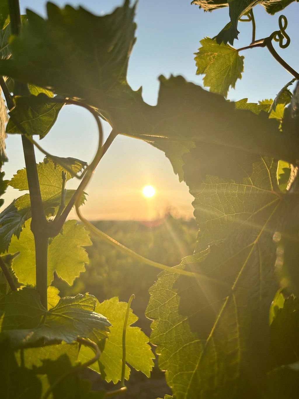 Sonnenuntergang