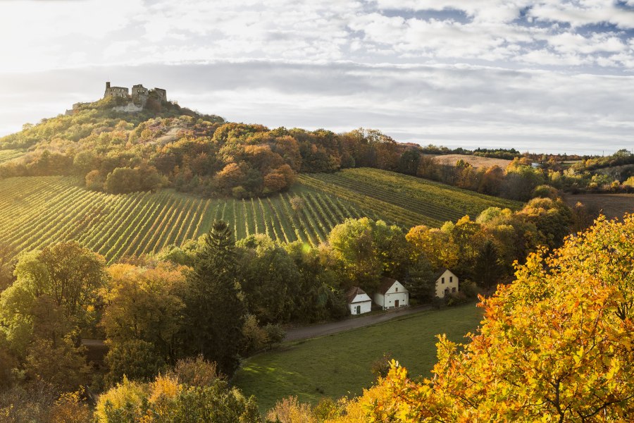 Herbstliches Weinviertel, © Niederösterreich Werbung / Michael Liebert