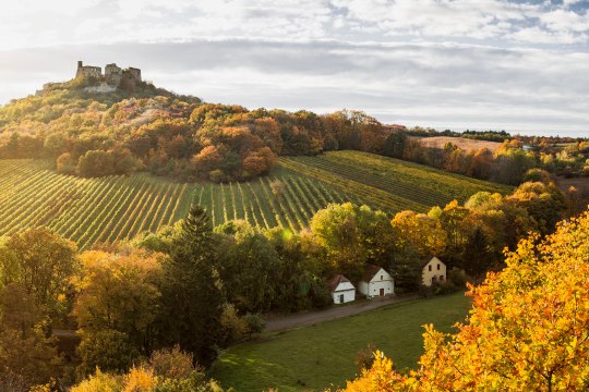 Die Landschaft erstahlt in kräftigen Farben ..., © Niederösterreich Werbung / Michael Liebert