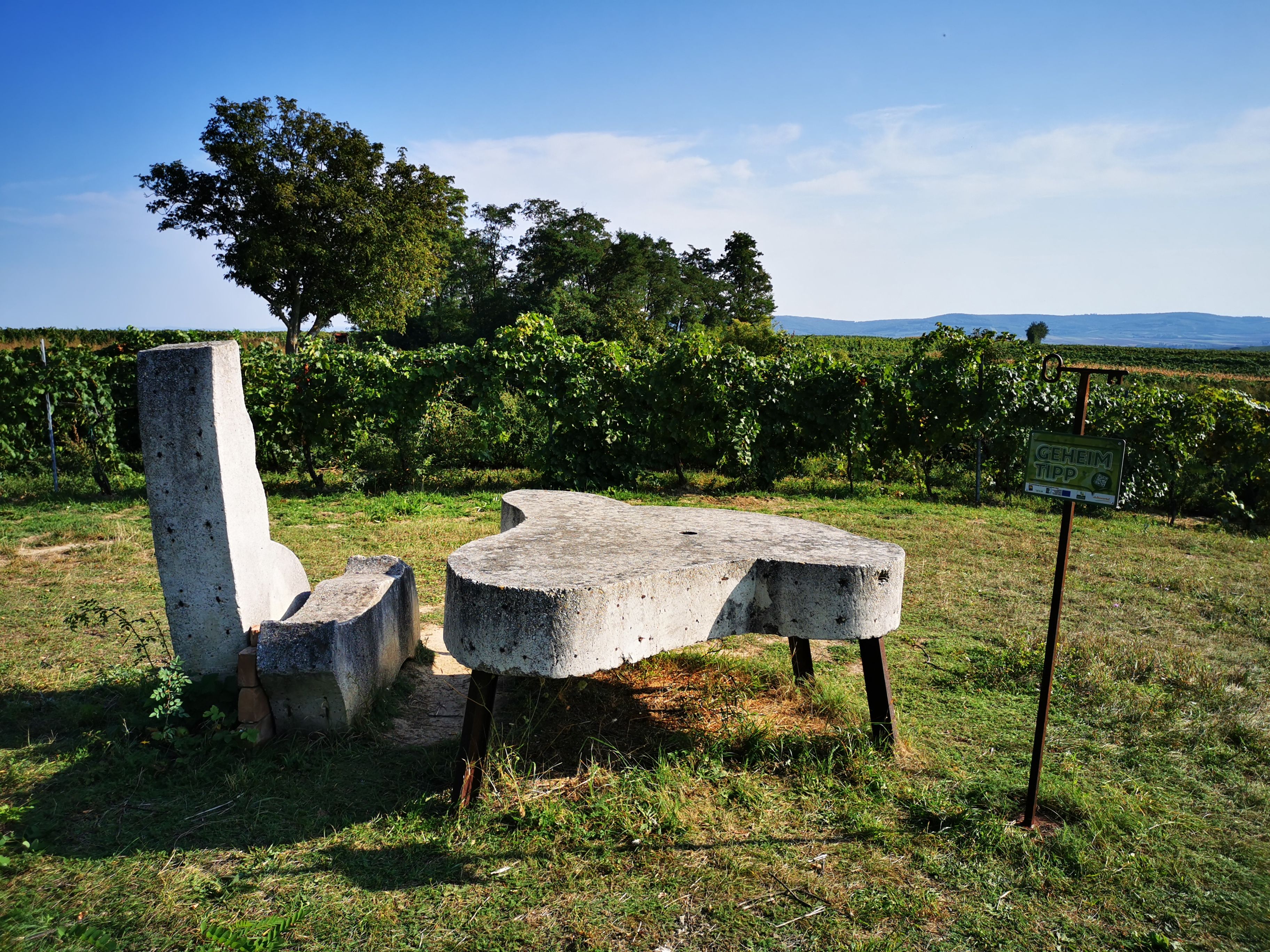 Stone bench and table in a vineyard with an 'insider tip' sign.