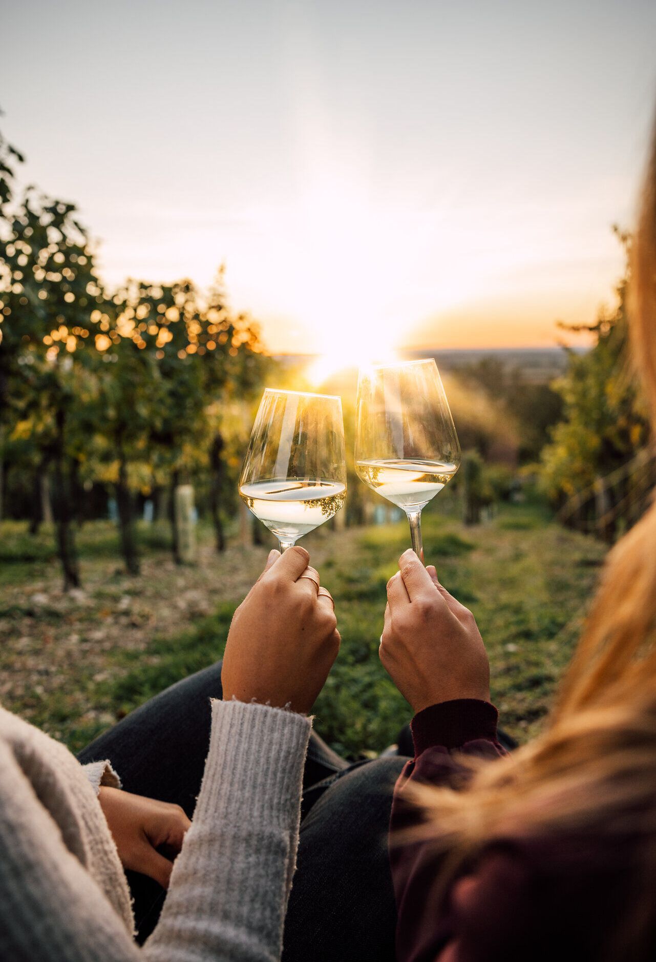 In der goldenen Abenddämmerung erheben zwei Gläser mit erfrischendem Wein den Toast auf einen unvergesslichen Moment. Umgeben von sanften Weinreben und dem sanften Licht der untergehenden Sonne, spürt man die Ruhe und Schönheit der Natur. Ein perfekter Abschluss eines erlebnisreichen Tages in der Weinregion.