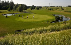 Golfer auf einem grünen Golfplatz mit Teich und Bäumen im Hintergrund.
