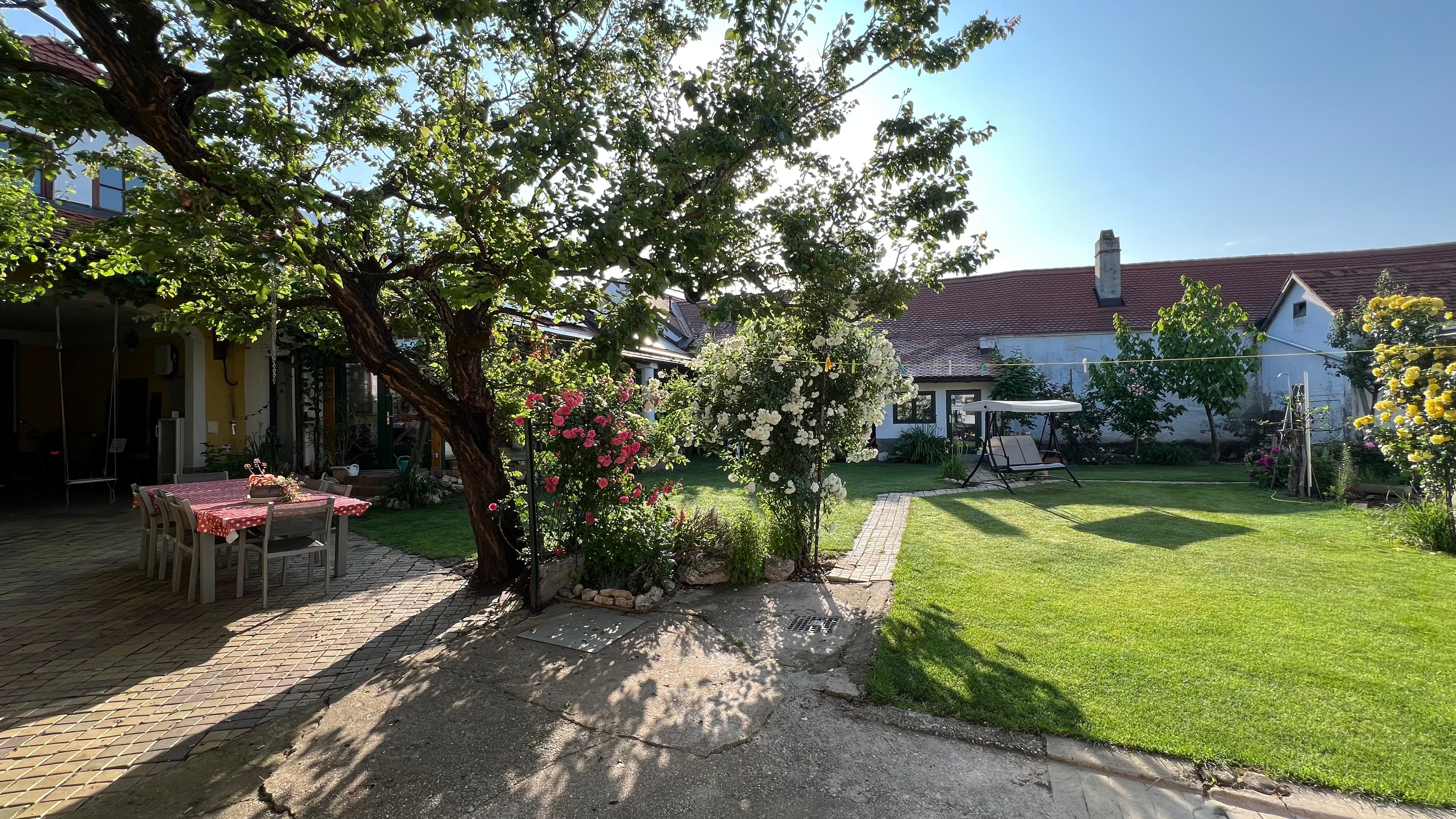 Ein sonniger Garten mit Tisch, Stühlen, Blumen und einer Schaukelbank.