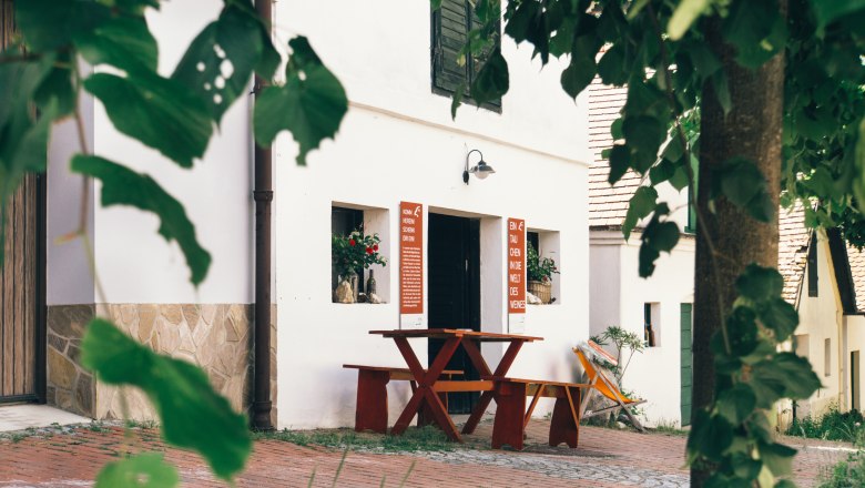 Ein gem&uuml;tlicher Weinkeller in der Falkenstein Kellergasse mit Holztisch und Pflanzen.