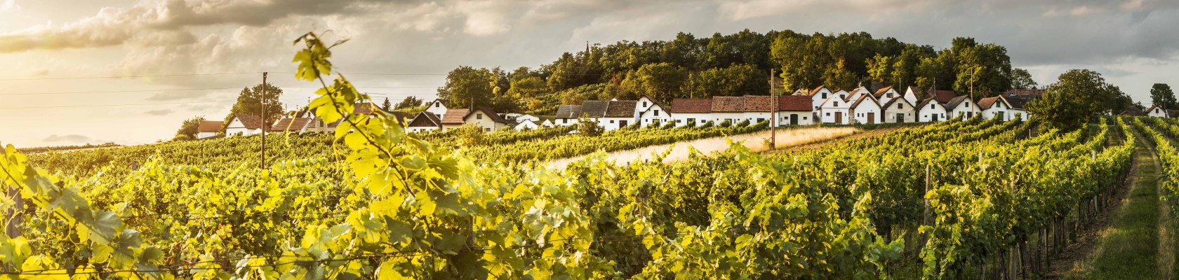 cellar lanes, &copy; Nieder&ouml;sterreich Werbung / Michael Liebert