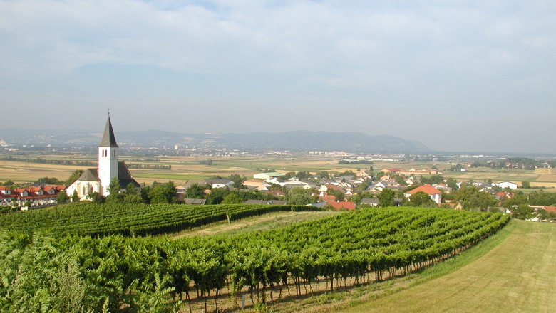 View of Stetten with church and vineyards in the foreground.