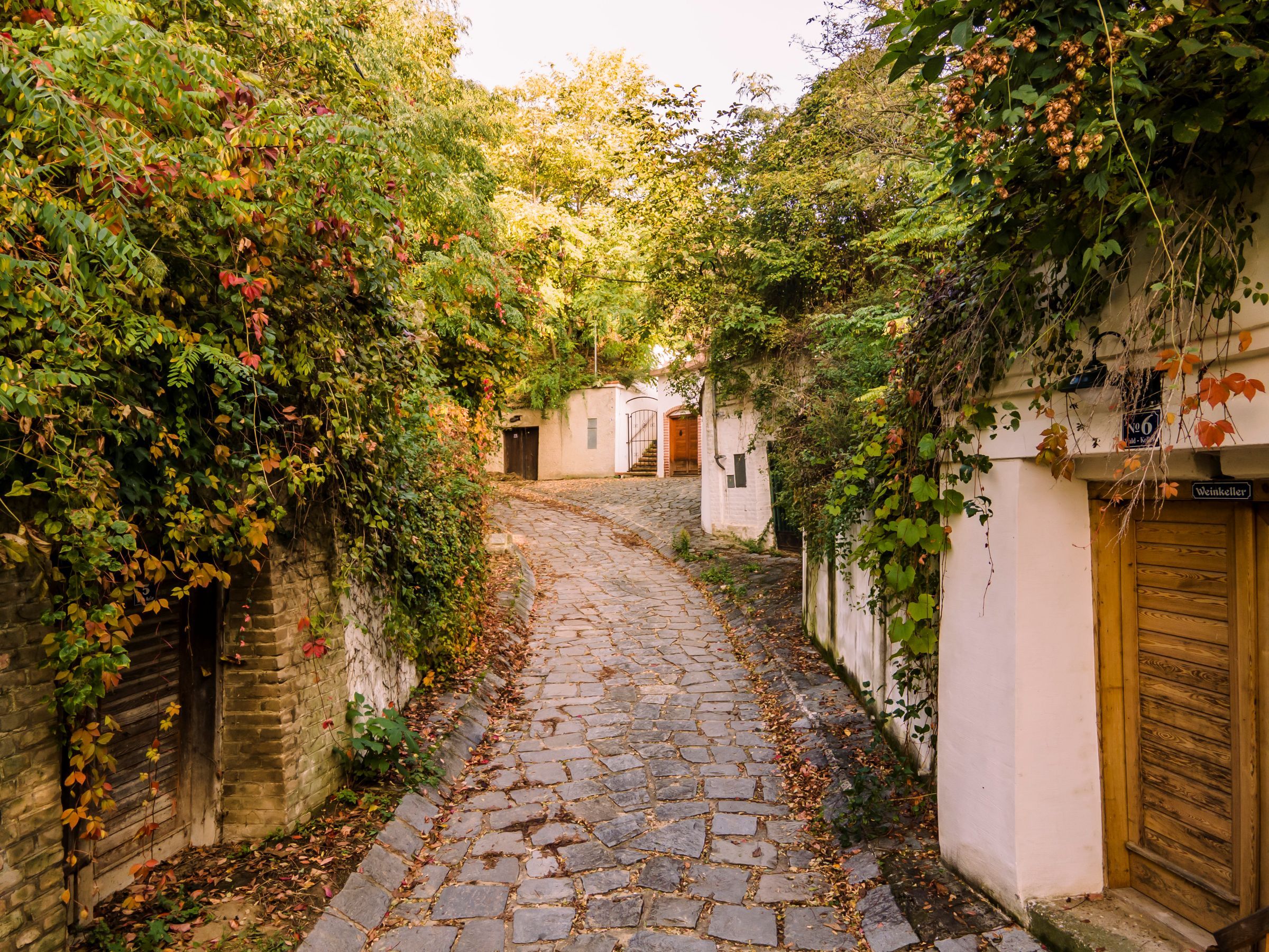 Kellergasse Enzersfeld
