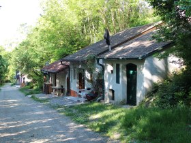 Eine malerische Kellergasse mit alten Weinkellern und grüner Vegetation in Wolkersdorf.