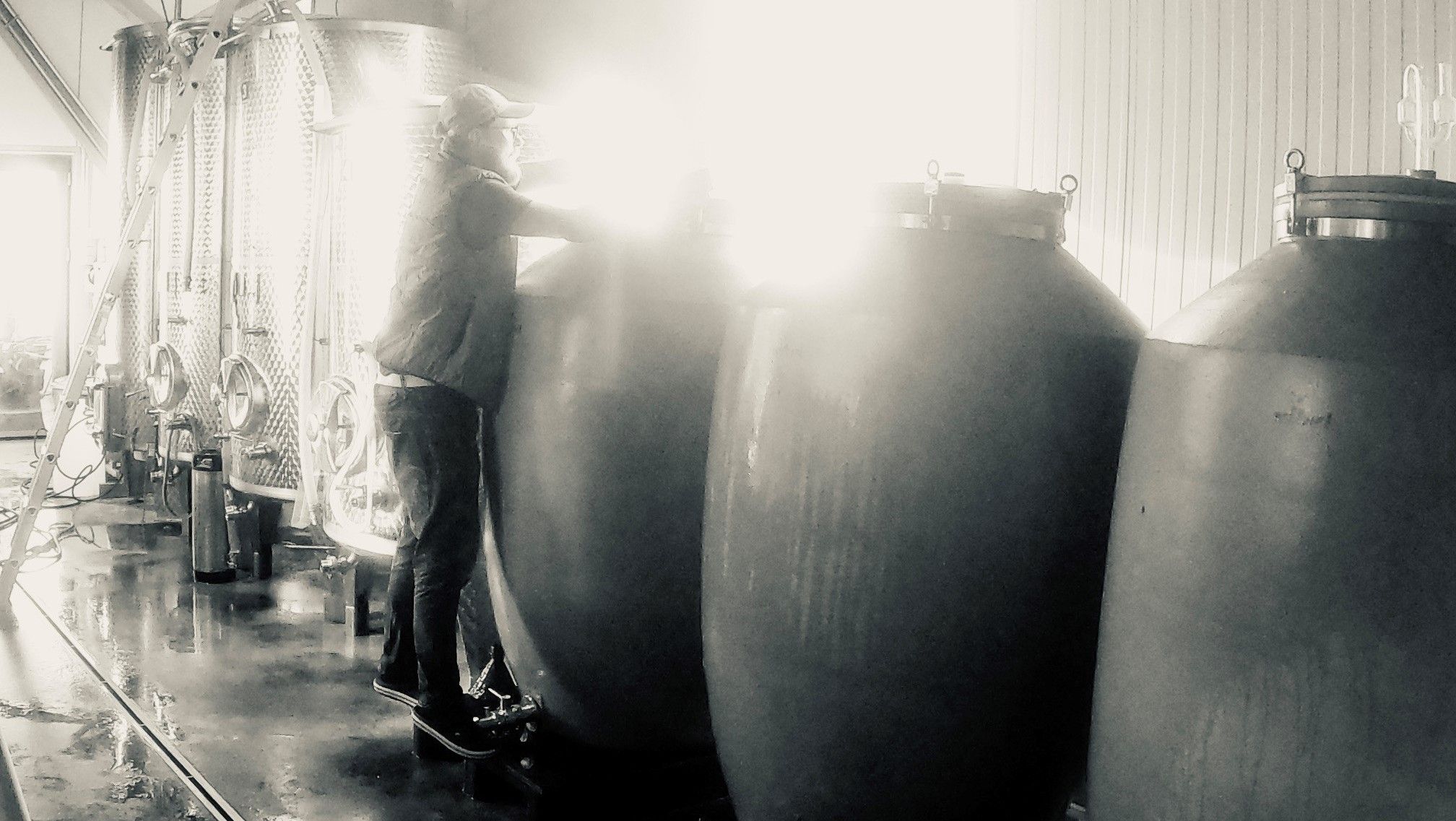 Person works in a winery with large tanks.