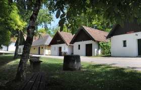 Eine malerische Kellergasse mit traditionellen Weinkellern und grüner Umgebung in Zellerndorf.
