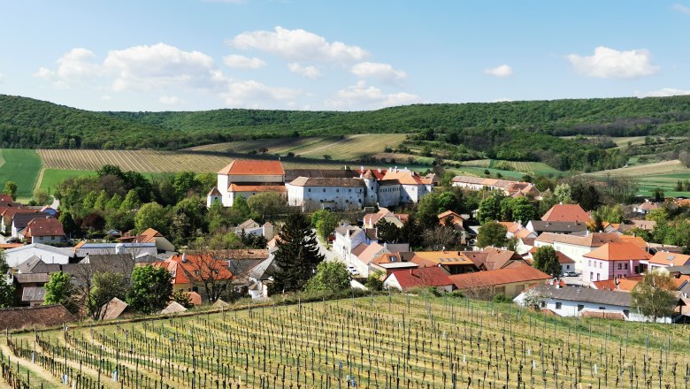 View of a village with vineyards in the foreground and hills in the background.