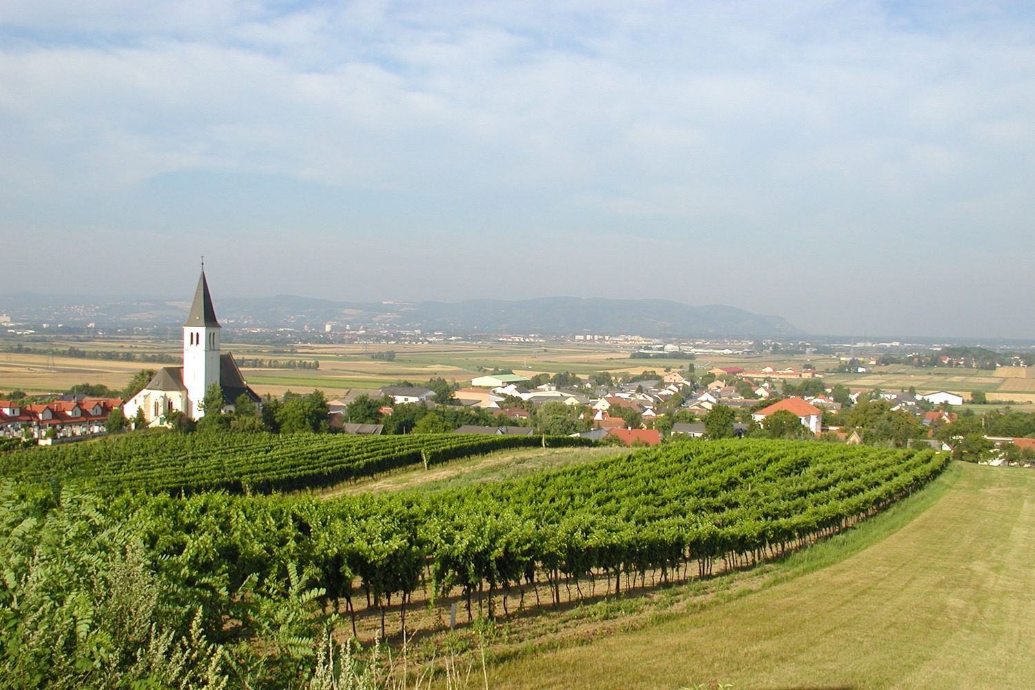 Blick auf Stetten mit Kirche und Weinbergen im Vordergrund.