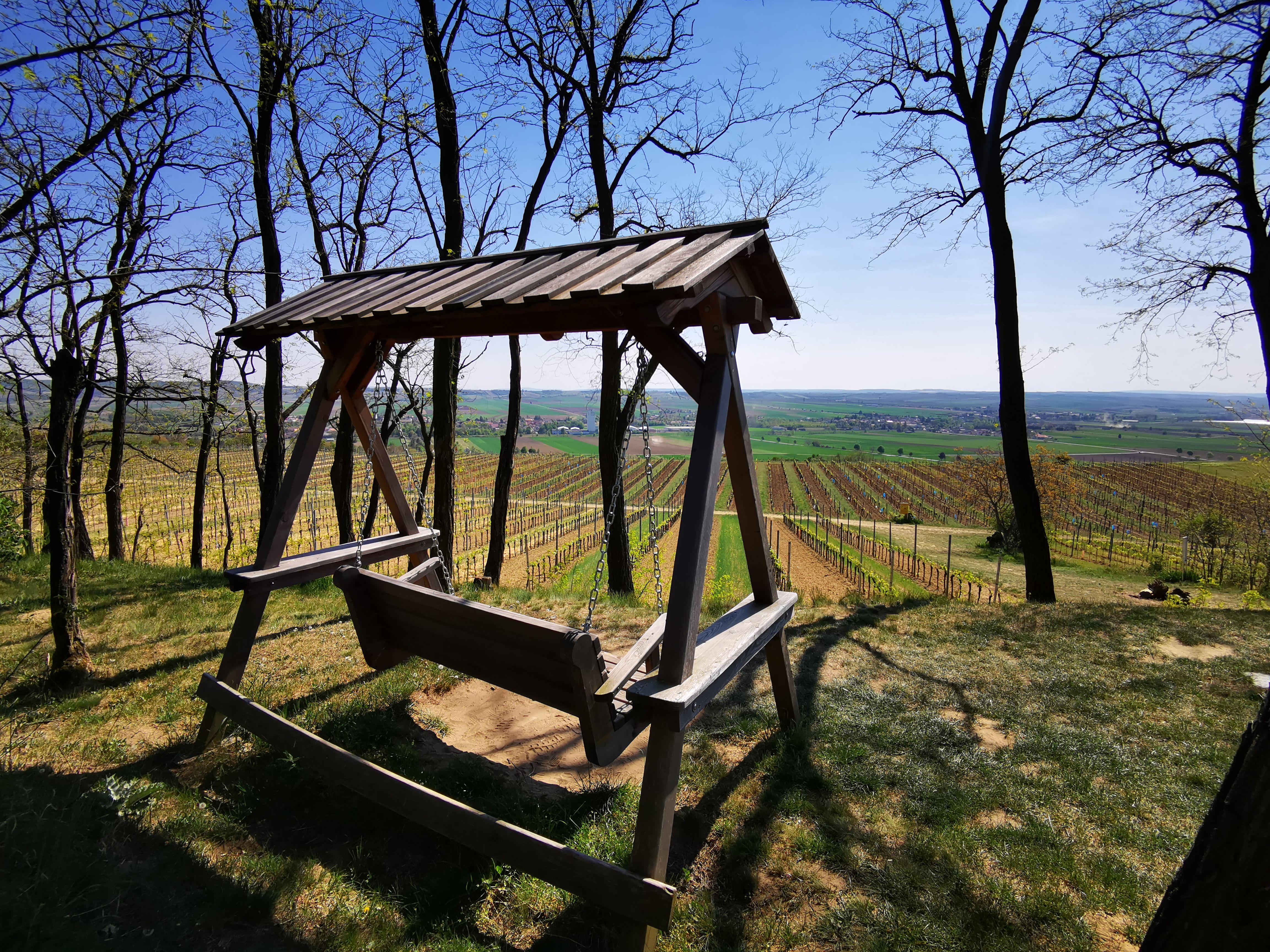 Wooden swing with a view of the vineyards and countryside on the Hutberg.