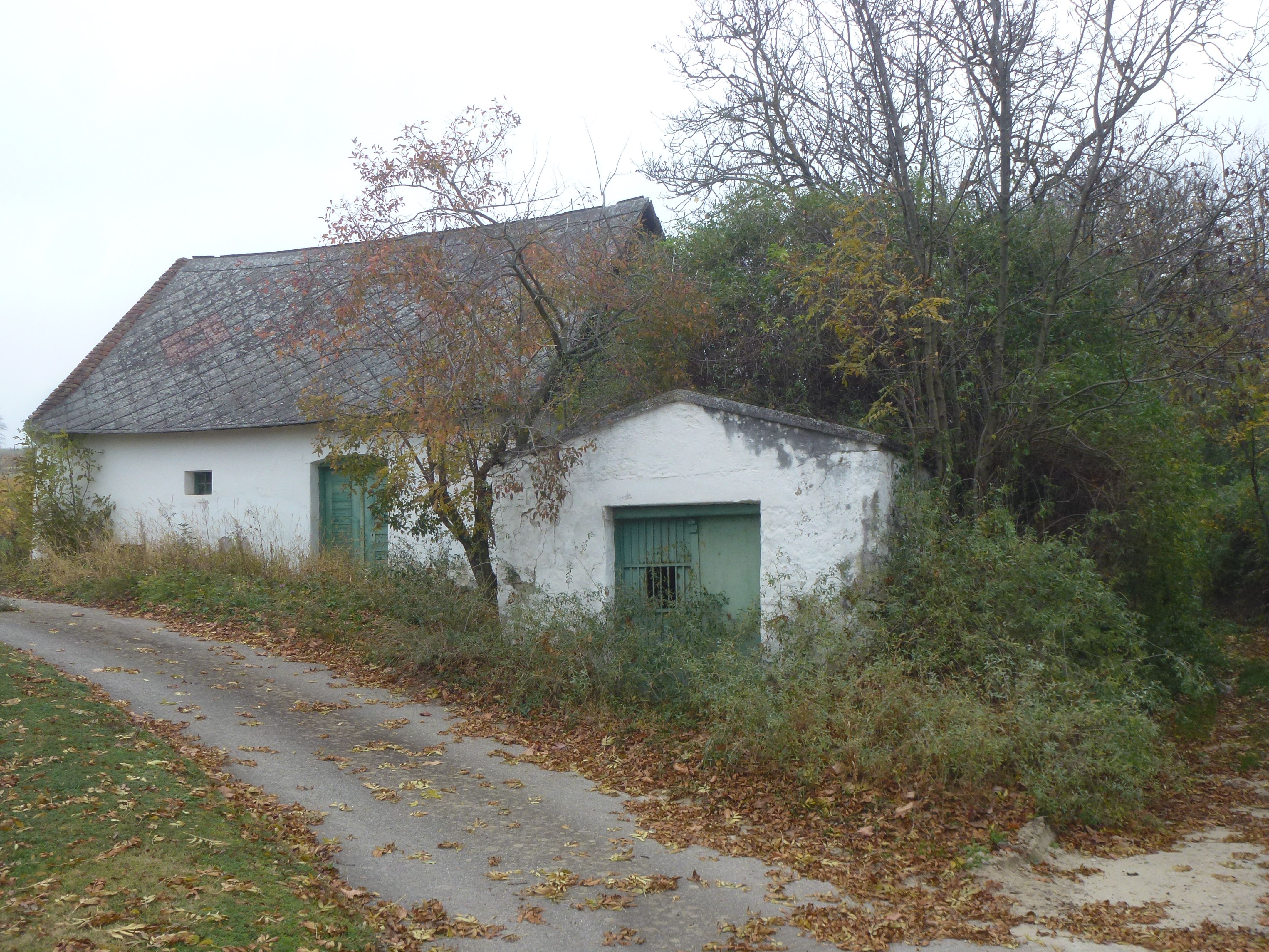 Ein altes, weißes Gebäude mit grünem Tor und Dach in einer ländlichen Umgebung, umgeben von Bäumen und Herbstlaub auf dem Boden.