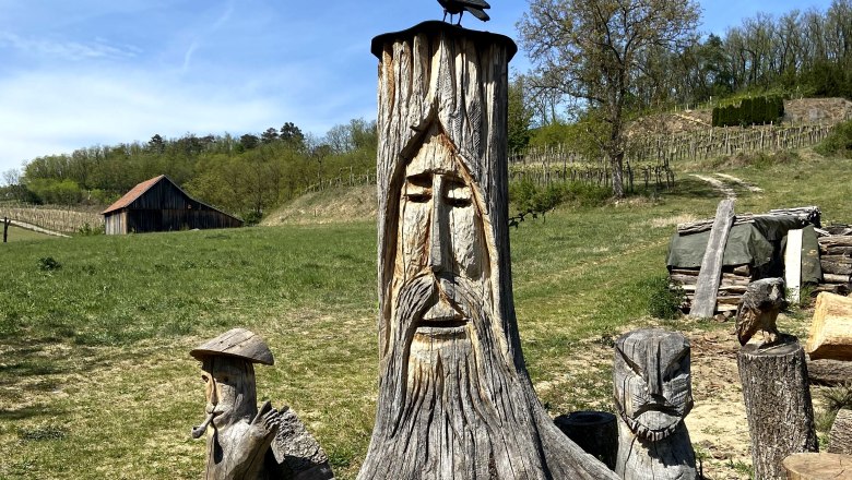 Holzbank mit geschnitztem Gesicht und Vogel auf einem Baumstumpf in ländlicher Umgebung.