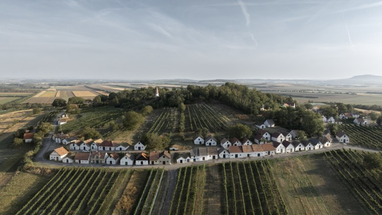 Aerial view of the Galgenberg wine cellar lane with vineyards and small houses.