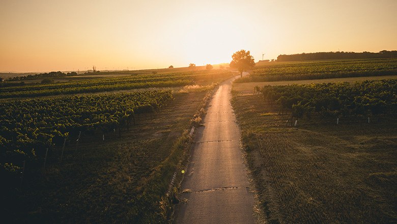 Genie&szlig;en Sie einen unvergesslichen Sonnenuntergang, &copy; Weingut Weinwurm / Michael Reidinger