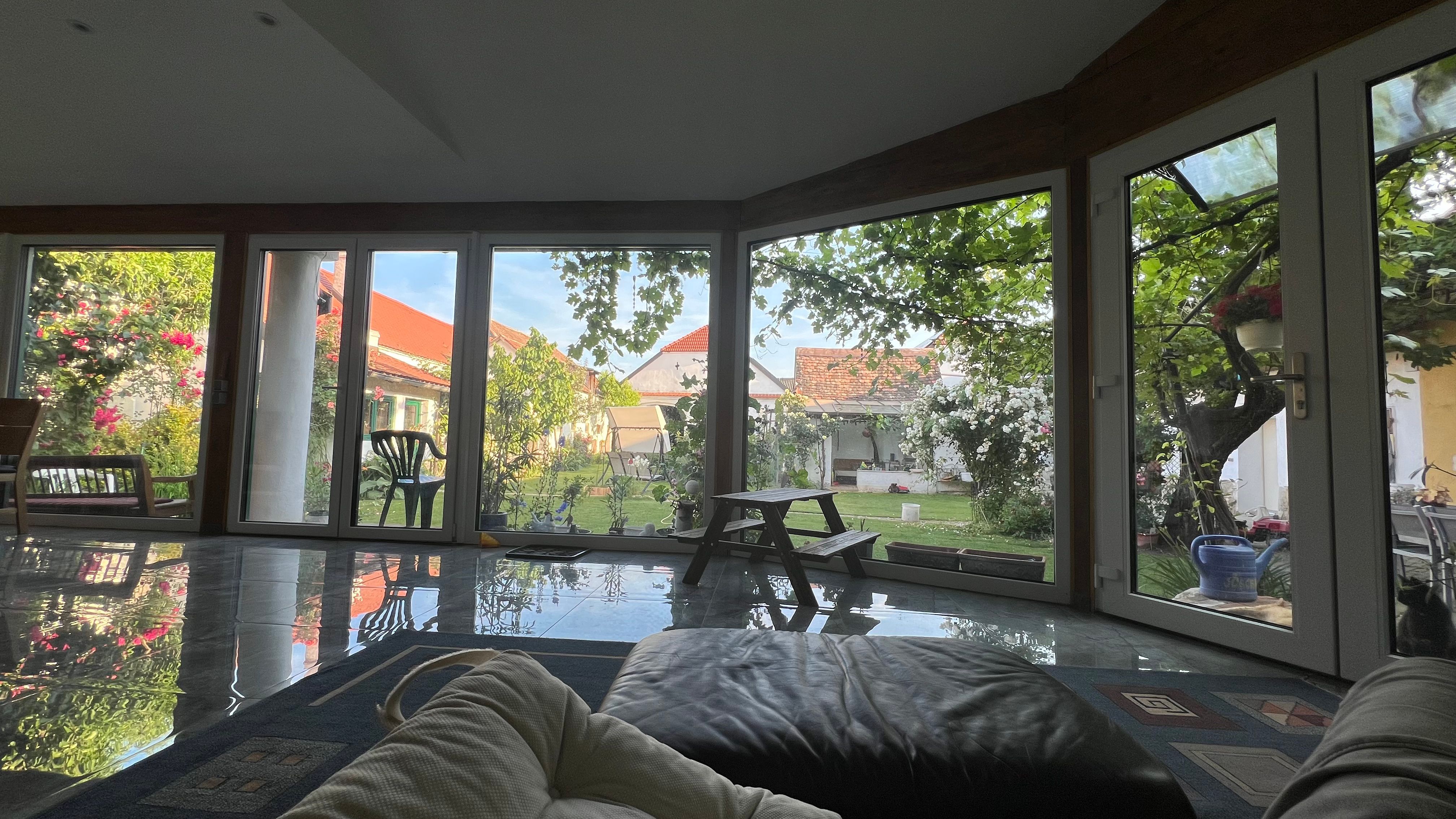 Blick in den Garten