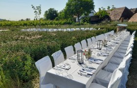 Langer, gedeckter Tisch im Freien neben einem Weinberg.