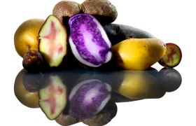 Verschiedene Kartoffelsorten, teils aufgeschnitten, auf spiegelnder Oberfläche.