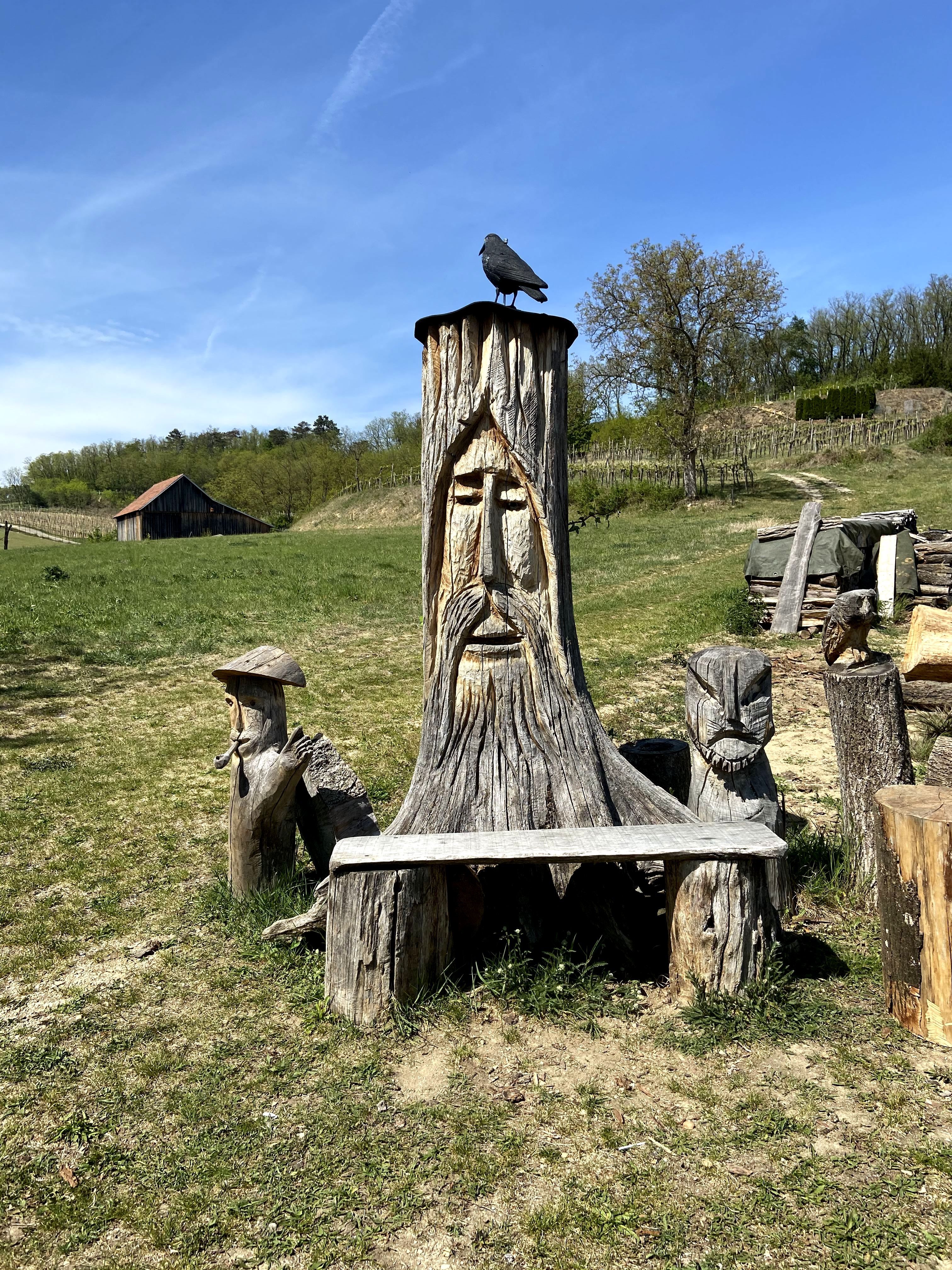 Holzbank mit geschnitztem Gesicht und Vogel auf einem Baumstumpf in ländlicher Umgebung.