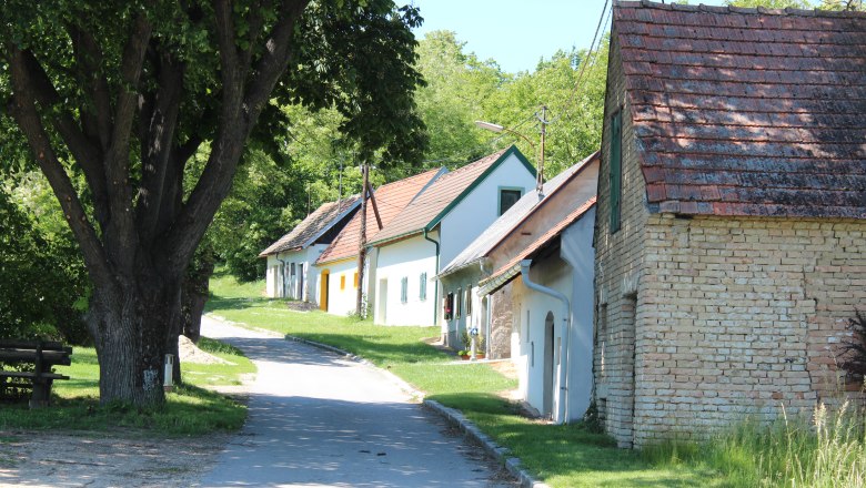 Eine malerische Kellergasse mit traditionellen Weinkellern und einem gro&szlig;en Baum im Vordergrund.