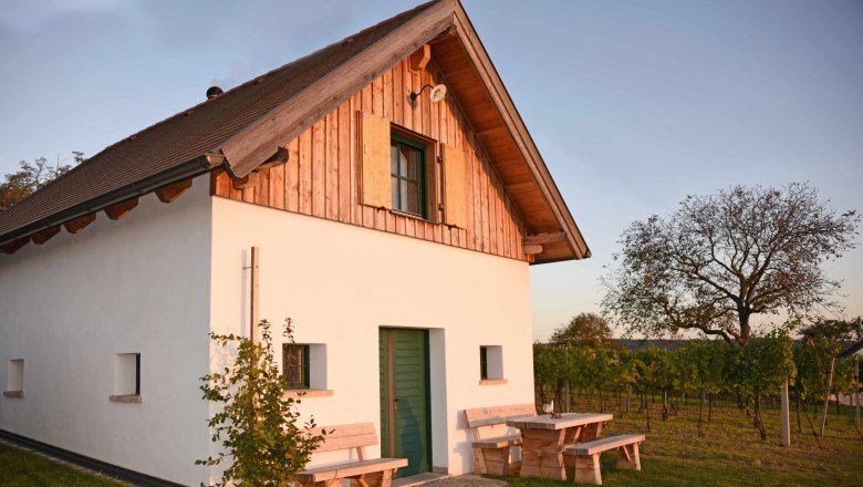 Ein kleines Haus mit Holzelementen und grüner Tür, umgeben von Weinreben und einem Baum im Sonnenuntergang.