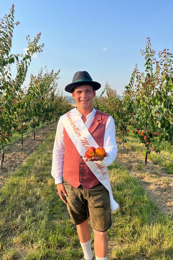 Marillenhoheit, © Vino Versum