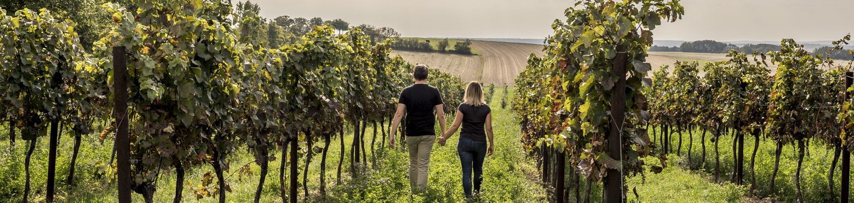 Vinárska jeseň vo Weinviertel, © Weinviertel Tourismus / Robert Herbst